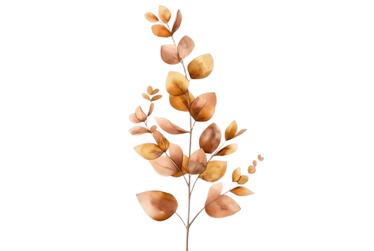 Eucalyptus Branch